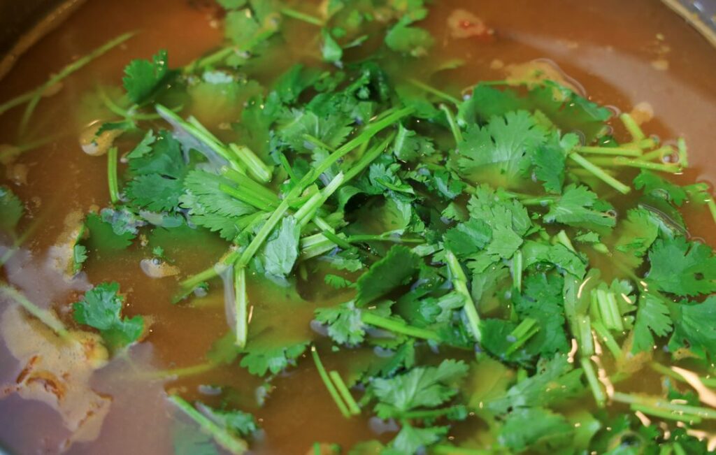 Cilantro on top of soup.