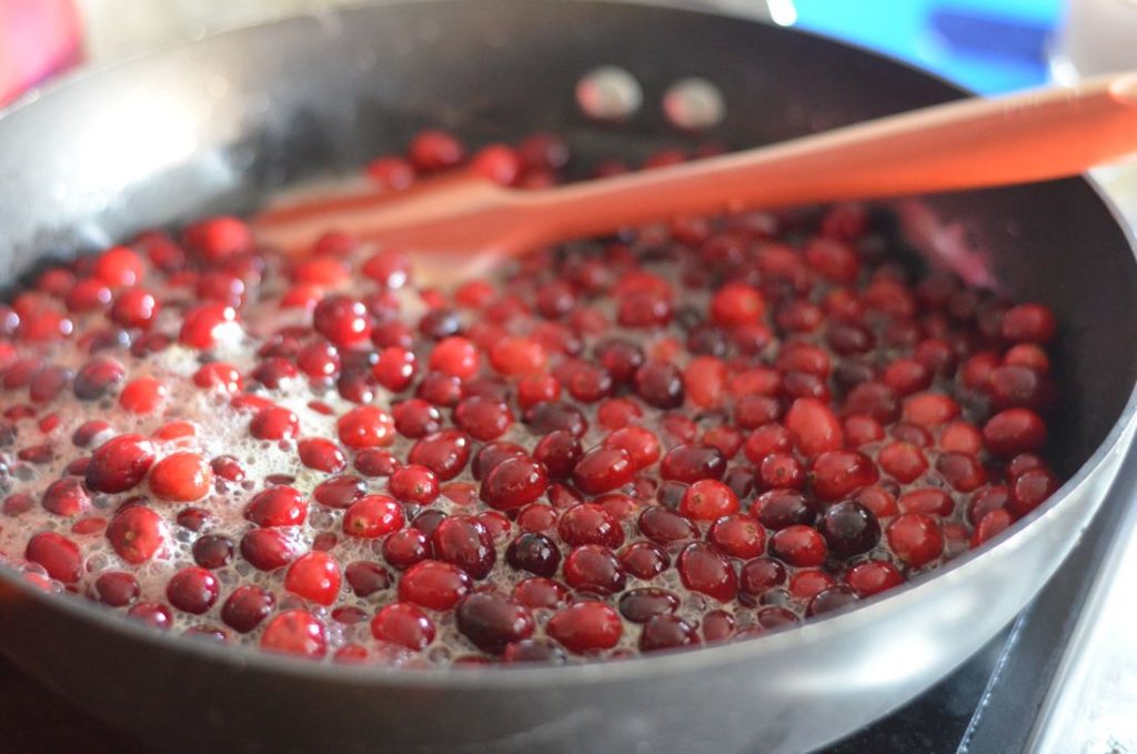 Cranberry Sauce & Cranberry Pie - Mooshu Jenne