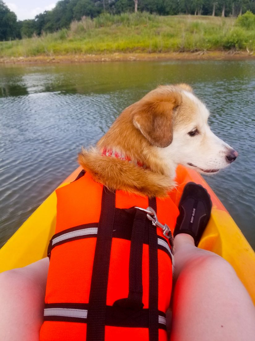 10 Must Have Items For Kayaking - Mooshu Jenne