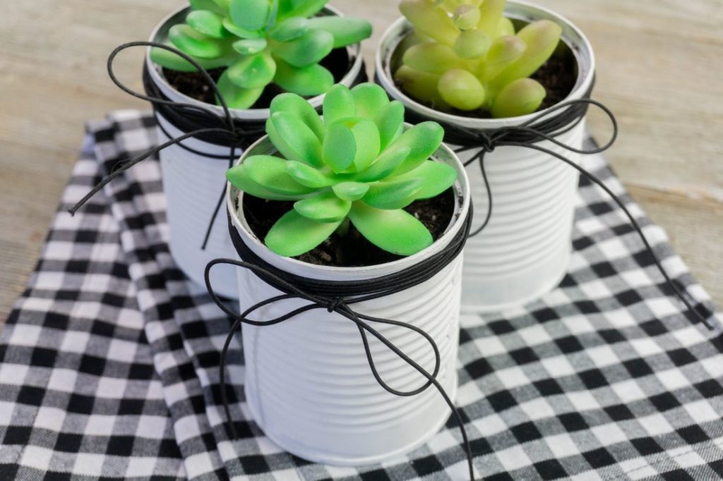 Farmhouse Tin Planters on Gray Wood