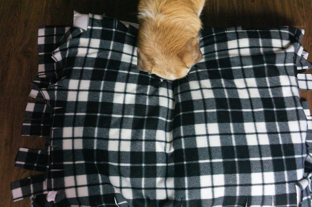 Dog trying to lay on fleece bed