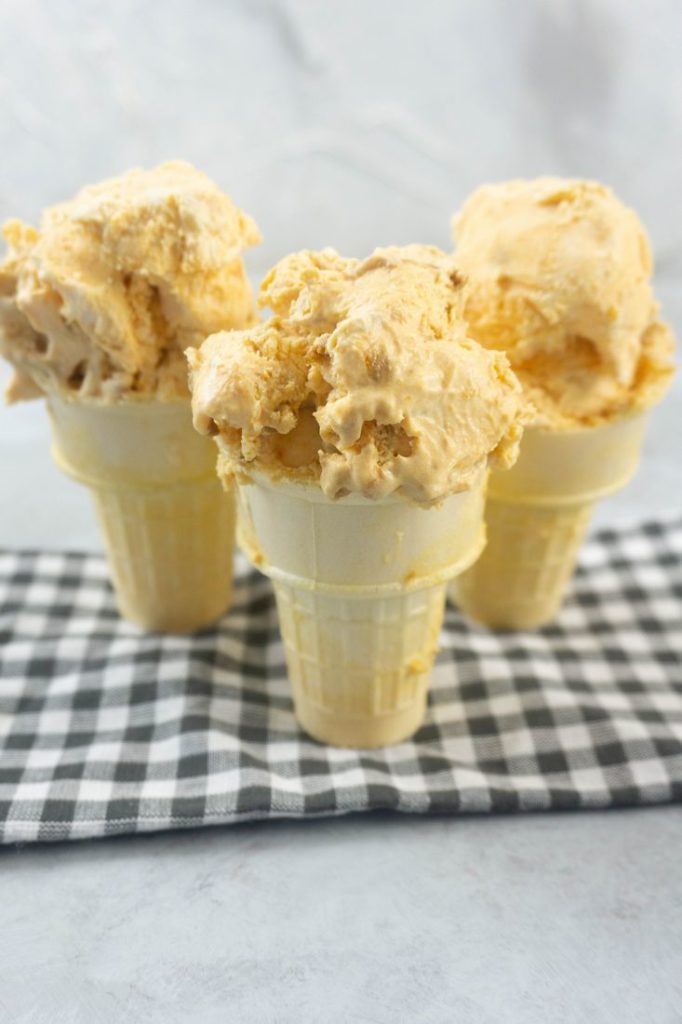 Pumpkin ginger snap ice cream in a cone on a plaid napkin with a concrete backdrop