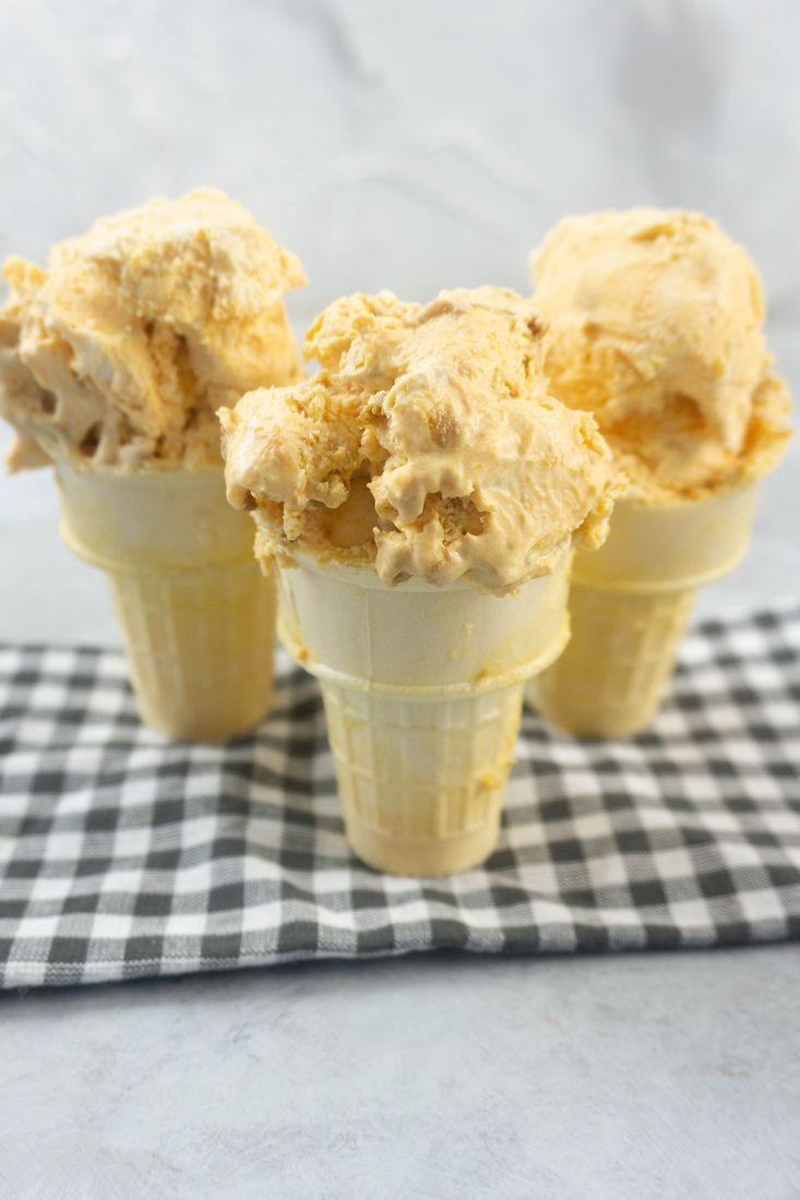 Pumpkin Ginger Snap Ice Cream