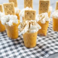 Pumpkin Pie Pudding Shots on a plaid napkin and concrete back drop