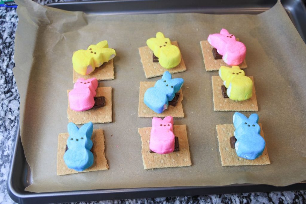 Chocolate and peeps on graham crackers