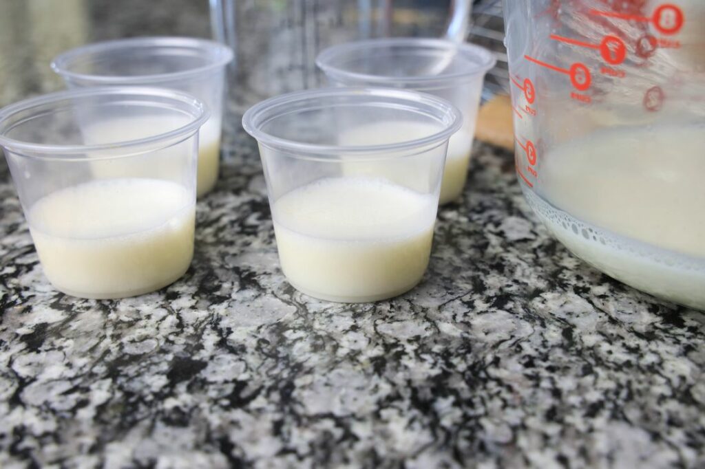 White layer of jello shots in the jello shot cups.