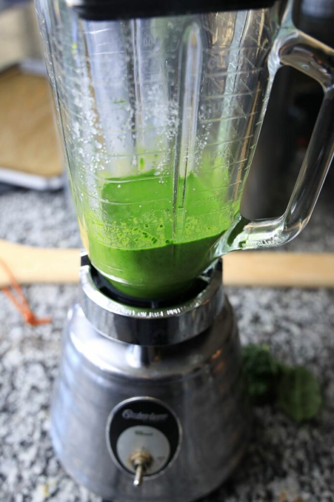 Herbs, salt, pepper, and olive oil blended down into a pesto in a blender on the counter top.