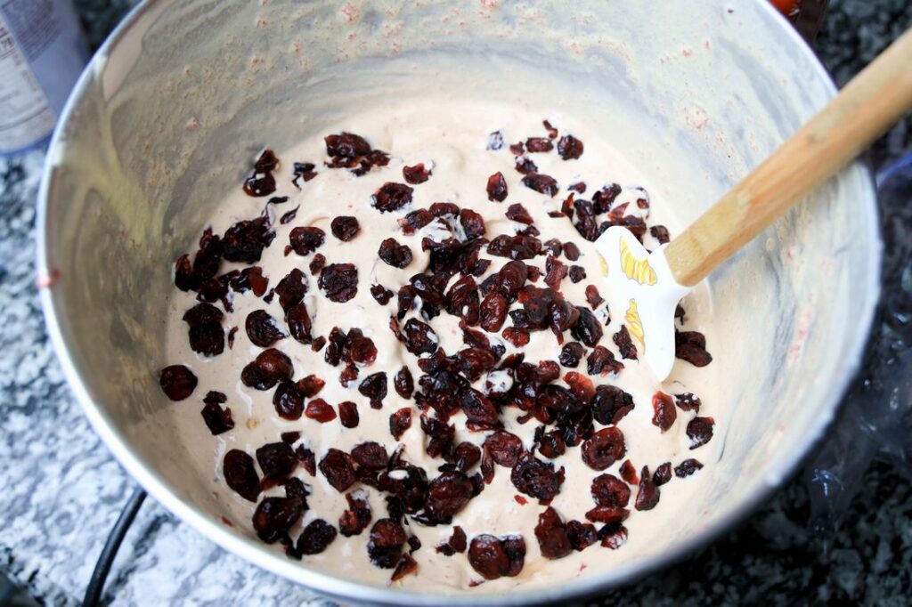 Dried cranberries in cranberry ice cream inside the stand mixer.